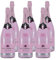 Brut Dargent Pinot Noir Rosé (6 x 1,5L)