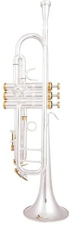 Trompeten Bb Kleine Trompete Silber Golden Key Professionelle Musikinstrumente Mit Koffer