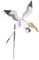 Parliky 1 Pc Moulin à Vent Mouette Seagull Jardin balconniere Colson Couleur jardigel Jouet Jouet Moulinet Figurine Animaux girouette Mouette Figurine de Mouette en Plein PVC