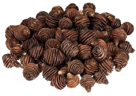 NaDeco Leucadendron platyspermum in Natur, Größe 5-7cm, Packung mit ca. 1kg | Spiral-Zapfen| getrockneten Platyspermumköpfe | Honig-Löffel-Zapfen | Deko-Zapfen | Afrikanische Zapfen | Naturdeko