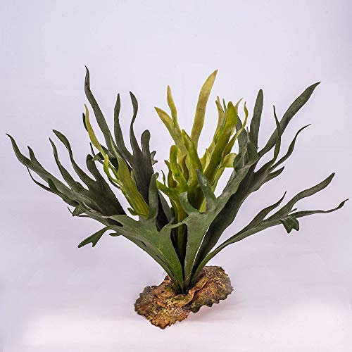 artplants.de Deko Hirschfarn, 19 Blätter, Silber - grün-Kunstpflanze - Dekopflanze