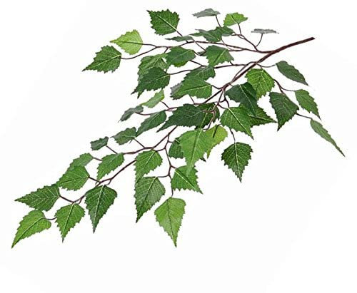 Künstlicher Birken Dekozweig 64cm lang mit 48 Blätter in naturgetreuer Optik - Birkenzweig Birkenblatt Kunstzweig mit Birkenblättern