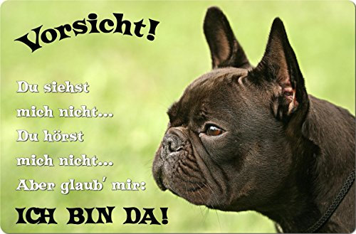 +++ Französische BULLDOGGE - Metall WARNSCHILD Schild Hundeschild Sign - FBD 16 T2