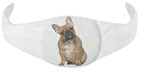 Kirschkernkissen Kinder-Wärmekissen Wärmflasche Größenverstellbarer für Babys Thermo-Kissen gefüllt mit Kirschsamen bei Bauchschmerzen und Blähungen Hund [088]