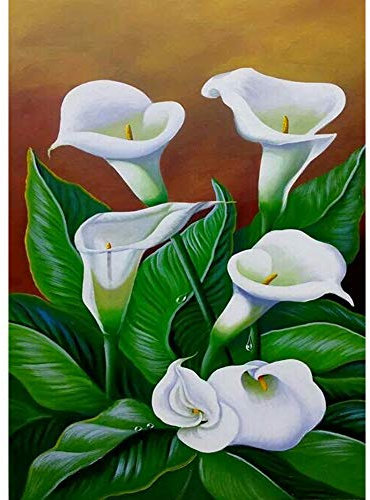 5D Diamond Painting Diamant Malerei Painting Bilder, Wowdecor Weiß Calla-Lilie Blume Full Set Groß DIY Diamant Gemälde Malen Nach Zahlen