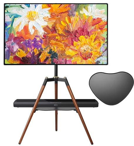 Fydeamer Television Ceiling or Wall Mount