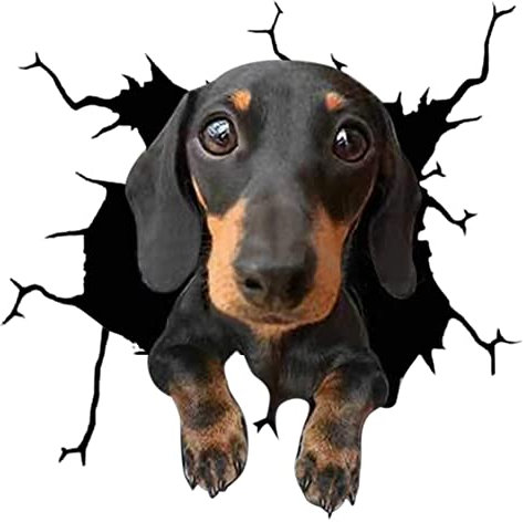 Asudaro 4 Stück Car Dekoration Tier Sticker Aufkleber, Hundeloch Autofenster Aufkleber 3D wasserdichter Hund Autoaufkleber Lustige Persönlichkeit Simulation Aufkleber,30cm x 30cm,#11