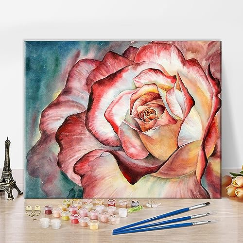 TISHIRON Hier Wasserfarben DIY Erwachsene Malen Nach Zahlen, Rosen Malen Nach Zahlen Kits with 3 Die Farben und Die Acrylfarbe 16X20 Inch Keine Flammen Gemälde für Freunde und Familie