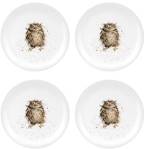 Wrendale Coupe Teller – What A Hoot (Eule) Set von 4