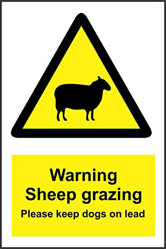 JINTORA - Etiquettes Autocollantes Panneau de signalisation de pâturage de mouton Gardez les chiens en plomb panneau de sécurité 30x20 cm - bureau, entreprise, école, hôtel Marquage sécurité