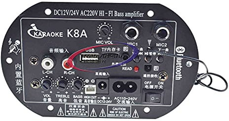 Reland Sun Mono Subwoofer Amplifier Board Dual Microphone K Song BT Amplifier 30-150W For 6-10Inch Speaker 220V 12V 24V