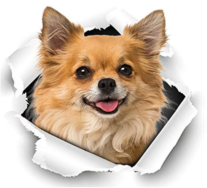 Ekakashop aufkleber Auto Sticker 3D Hundeaufkleber Autoaufkleber PVC wasserdicht selbstklebend Katze und Hund 3D Simulation der Persönlichkeit lustige Dekorations aufkleber