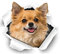 Ekakashop aufkleber Auto Sticker 3D Hundeaufkleber Autoaufkleber PVC wasserdicht selbstklebend Katze und Hund 3D Simulation der Persönlichkeit lustige Dekorations aufkleber