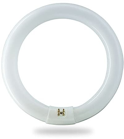 BULBMASTER FC8T9/CW 22 Watt 8 Inch Round T9 Fluorescent Circular Light Bulb, Cool White 4100K, 1120 Lumens G10Q 4-Pin Base 22W Circline Ceiling Lights