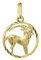 NKlaus Steinbock Sternzeichen 333 8 Karat Gelbgold 15mm Kettenanhänger Horoskop Zodiak 9158