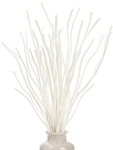 SOUJOY 30 PCS Willow Stick, Decorative Dried Curly Branches, 10'', 12'' Natural Wood Diffuser Stick for Vase, Craft DIY, Home, Office