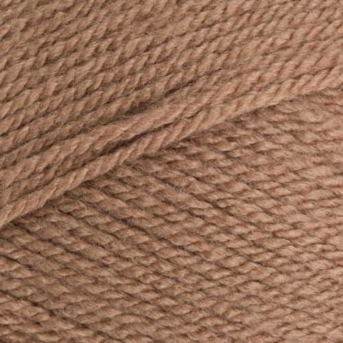 Stylecraft 9041064 Special DK Mocha (1064) Yarn - 100g