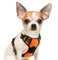 Hundegeschirr keine Pull Verstellbare gepolsterte vorne Serie Puppy Weste Geschirre mit Griff Reflektierende Atmungsaktive Weiche Mesh Leichte Outdoor Adventure Training Walking Comfort Control