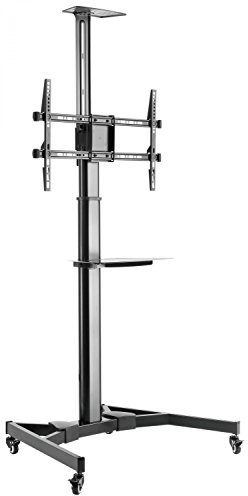 RICOO TV Ständer Rollbar Höhenverstellbar Universal für 40-75 Zoll, Fernsehständer mit Rollen FS0364, Stand Fernseh Standfuß Fernseher Standfuss bis 50 Kg, max. VESA 600x400 mm, TV Standfüße
