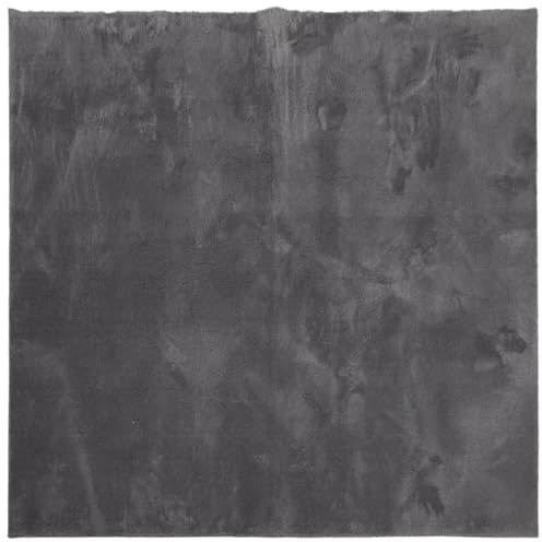 vidaXL Teppich HUARTE Kurzflor Weich und Waschbar Anthrazit 200x200 cm