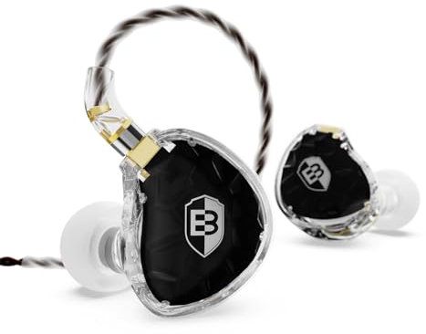 BASN ASONE 14.2mm Planar Driver in-Ear Monitors Earphone with Two Detachable MMCX Cables for Musicians Drummers Bass Players Singers(Black)