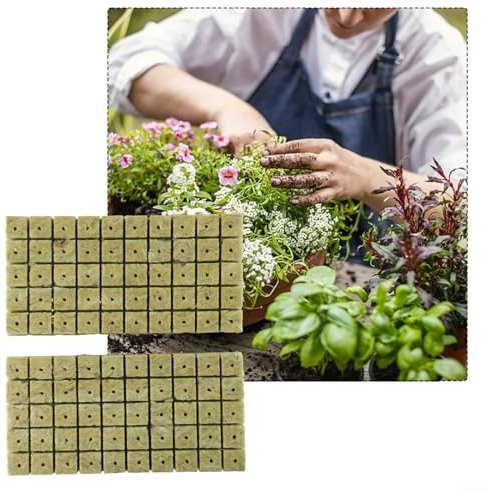 EXTRWORY Grow Media Cubes, Steinwolle Starter Plugs für Hydrokultur, Steinwollewürfel, für Anzucht Stecklinge Klonen Vermehrung, L00V92I0Z4HDOW90X01HJ6O1