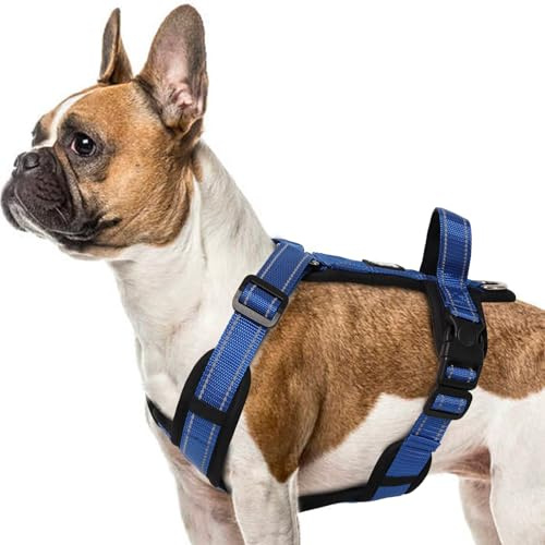 LiebeDD Pettorina per cani blu S – Pettorina per cani piccola Riflettente Anti Tiraggio Cane Pettorina Imbottita con Manico Dog Harness per cuccioli Cani di piccola e media taglia