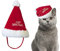Nobby Xmas 50635 Plüsch Mütze 18 cm