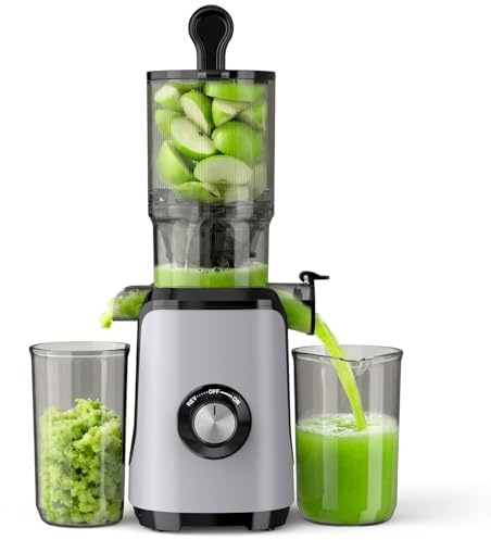 NEWBULIG Cold Press Juicer Machines for Vegetables & Fruits, Silver
