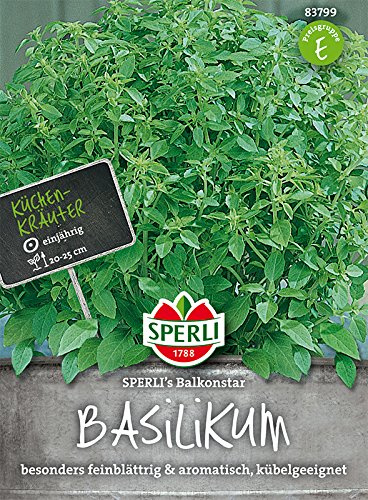 Sperli-Samen Basilikum SPERLING´s Balkonstar