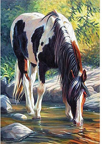 5D Diamond Painting Diamant Malerei Painting Bilder, Wowdecor Pferd Tiere Strom Stein Baum Full Set Groß DIY Diamant Gemälde Malen Nach Zahlen