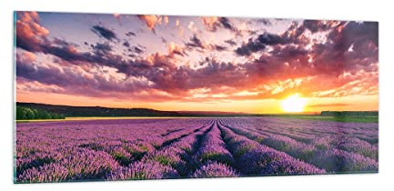 ARTTOR Glasbild 100x40cm Wandbild Glasdruck Botanik Landschaften - 3816