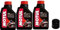 Kit Tagliando moto 3 litri olio Motul 7100 10W30 + filtro 204