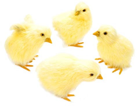 Wemofi 4 Stück Realistische Küken Toy Plüschtier küken Figur lebensechte Pelzige Tier Spielzeug Simulation Küken Fotografie Simulation Huhn Ostern küken Deko 4 Posen