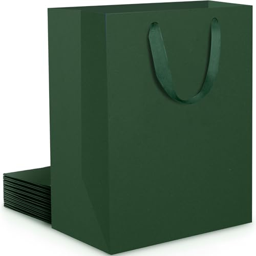 EUSOAR Grün Papiertüten Mittel - 10 Stück Grünes Geschenktüten M 20x10x28cm - 230GSM Verdickte Dunkel Grün Kraftpapier Tüten mit Henkel - Stabil Geschenktaschen Mann Weihnachten Geburtstag
