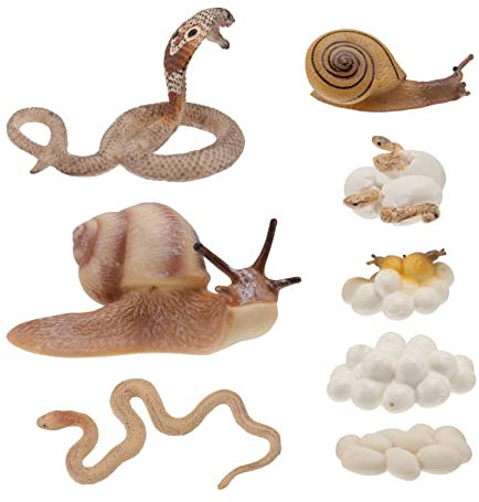 JOINPAYA Insekten Modelle 2 Satz Kinder Lehrmaterial Ebene Lebenszyklus Simulation Didaktisches Spielzeug Für Vorschul Bildung