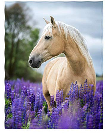 kksme 152,4 x 203,3 cm, Lavendel mit Pferde-Muster, superweich, Überwurf für Bett, Sofa, leichte Decke für alle Jahreszeiten