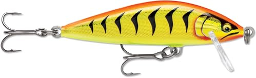 Countdown Elite 75 Gilded Hot Tiger
