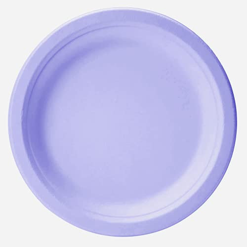 Piatti plastica (10 pezzi) viola