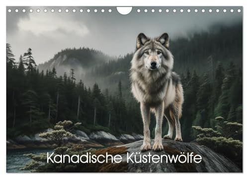 Kanadische Küstenwölfe (Wandkalender 2026 DIN A4 quer), CALVENDO Monatskalender: Jeden Monat epische Darstellungen Kanadischer Küstenwölfe (CALVENDO Tiere)