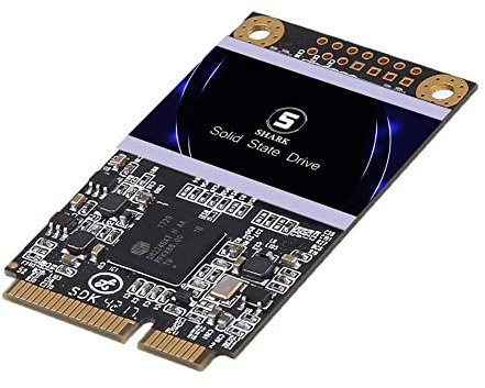 DOGFISH Shark SSD MSATA 60Go Interne d'un Disque à l'état Solide De Bureau Portable De Haute Performance De Lecteur De Disque Dur (60Go MSATA)