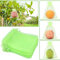 KINGLAKE 100Pcs Fruit Protection Net Bags Green, 15x20cm Garden Plant Protect Mesh Bags with Drawstring, Clear Insects Mosquito Bug Barrier Netting Bags for Fruits Flowers Vegetables, JHSDGL1001520