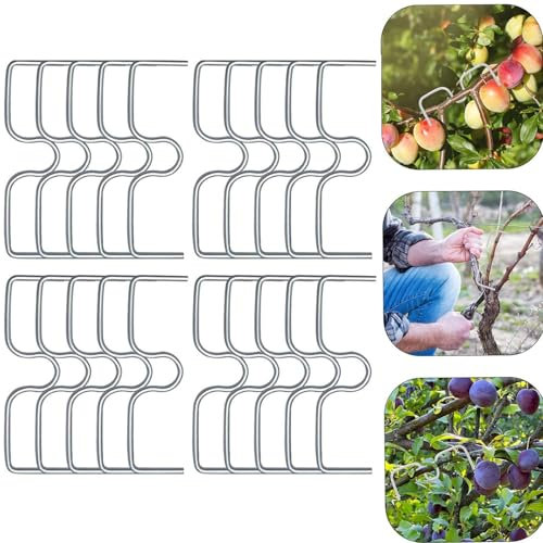 FiveMileBro Écarteurs de Branches d'arbre Fruitier, Épandeur de Branches en Forme de M, Outil Professionnel en Métal Réglable pour Améliorer la Croissance des Arbres (13cm/20 Pièces)