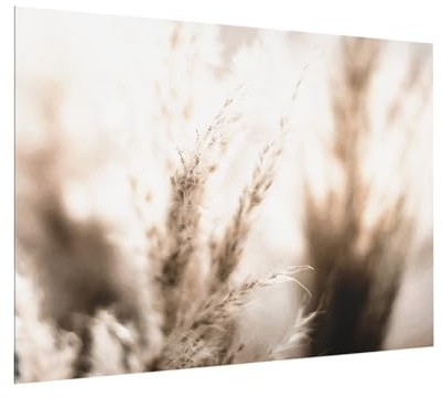 micasia Glas Spritzschutz inkl. Aufhängung 4 mm starke Küchenrückwand Blumen Glasrückwand - Made in Germany - Modern Gräser Wandpaneel braun Küche Herd Küchenspiegel 6506 (80x59cm)