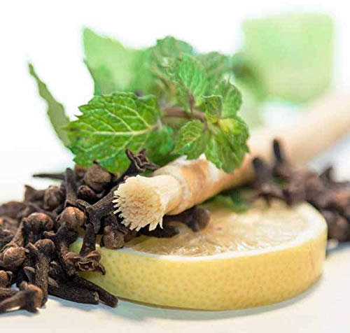 Siwak Naturzahnbürste