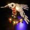 cooldac Led Licht Kit Kompatibel mit Lego 75979 Harry Potter Hedwig Die Eule Set (Nur Beleuchtung), Kreative Dekorlichter Set Kompatibel mit Lego 75979 Harry Potter Hedwig Die Eul Baustein Modell