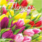 TURNER 24998053103 Fotobox-Kalender mit Blumenmotiv