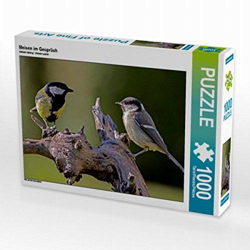 CALVENDO Puzzle Meisen im Gespräch | 1000 Teile Lege-Größe 64 x 48 cm Foto-Puzzle für glückliche Stunden