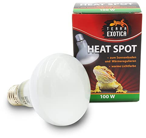 Terra Exotica Heat Spot 100 Watt - Wärmestrahler für Reptilien - 25W, 40W, 60W, 75W, 100W, 150W - Terrarium Wärme Spotstrahler - Terrarienbeleuchtung - Wärmelampe (1, 100 W)