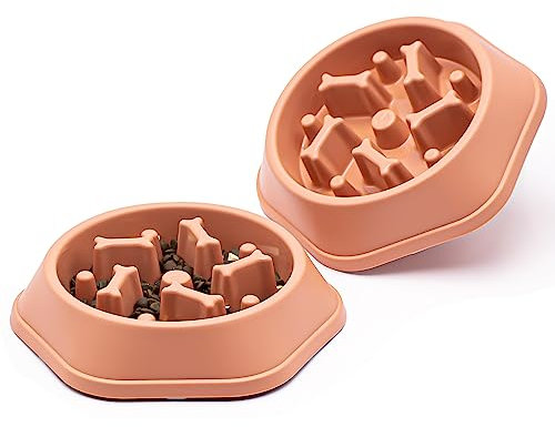 Lot de 2 gamelles pour chien - Gamelles à alimentation lente - Arrêtez les ballonnements - Bol interactif pour manger sainement (2 pièces, rose)